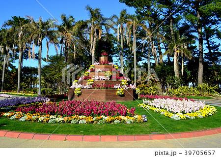 宮交ボタニックガーデン青島(宮崎県立青島亜熱帯植物園) 南国ムードあふれる植物園 宮交ボタニックガーデン青島(宮崎県立青島亜熱帯植物園) 南国ムードあふれる植物園 39705657