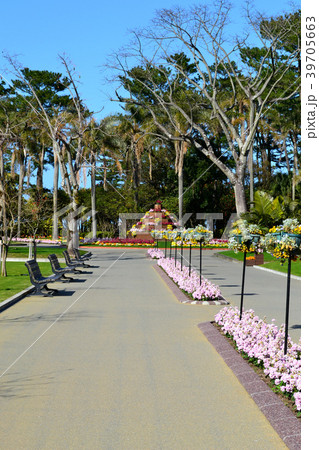 宮交ボタニックガーデン青島（宮崎県立青島亜熱帯植物園）　南国ムードあふれる植物園 39705663