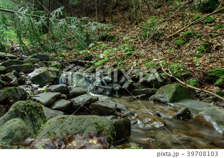 Magic mountain stream in the Carpathian forest. Magic mountain stream in the Carpathian forest. 39708103