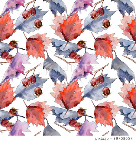 Hawthorn leaf. Leaf plant pattern botanical garden 39708657