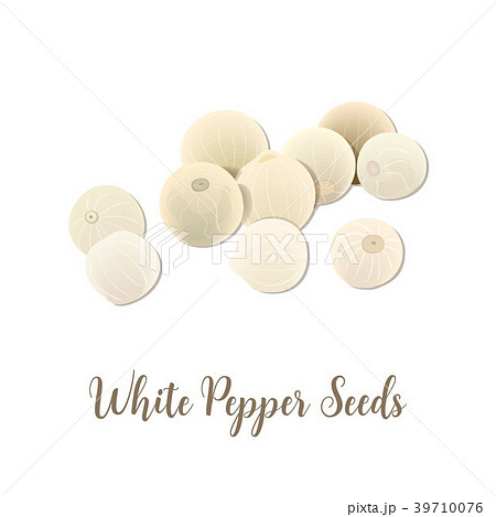 White pepper seeds on white background, top view 39710076
