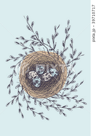 Vector illustration of hand drawn nest with 39710717