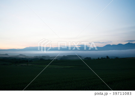 朝霧の丘　夜明け　丘の風景　美瑛　上富良野　富良野 39711083