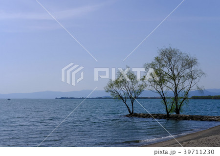 北びわ湖 39711230