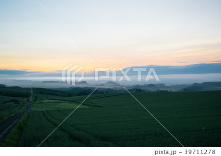 朝霧の丘　夜明け　丘の風景　美瑛　上富良野　富良野 39711278