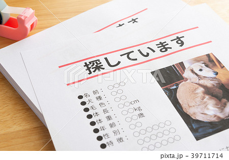 行方不明 ペット 貼り紙 張り紙 犬 ペットロス 行方不明 ペット 貼り紙 張り紙 犬 ペットロス 39711714