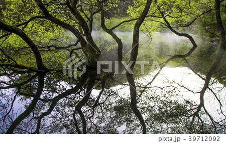 和順郡 全羅南道 水煙 39712092