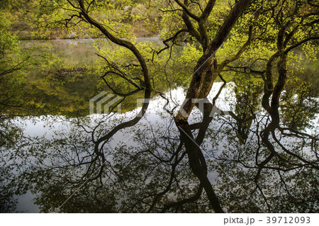 和順郡 全羅南道 水煙 39712093