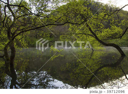 和順郡 全羅南道 水煙 39712096