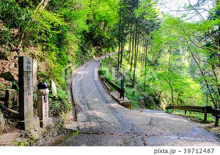 高尾山・１号路 39712487