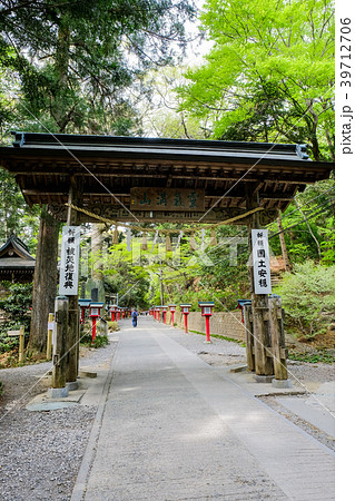 高尾山・1号路 高尾山・1号路 39712706