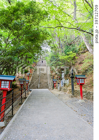 高尾山・１号路 39712709