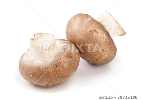 Royal Brown champignon isolated on white 39713180