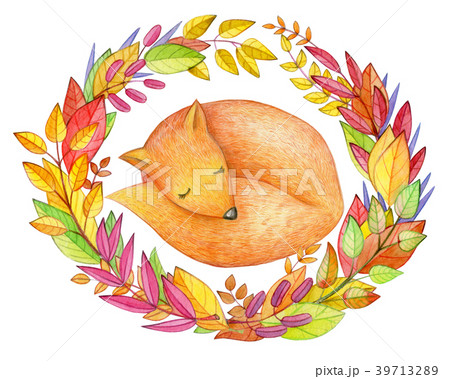 Cute sleeping fox in autumnal leaves, isolated. Cute sleeping fox in autumnal leaves, isolated. 39713289