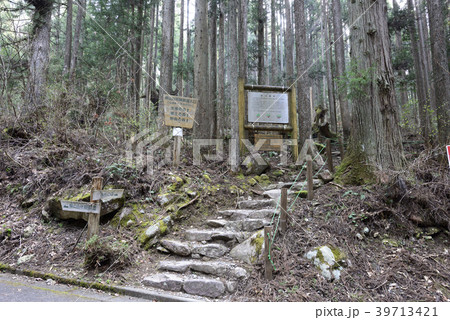 株杉の森 株杉の森 39713421