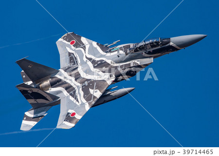 飛行教導隊のF-15DJ 39714465