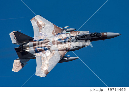 飛行教導隊のF-15DJ 39714466