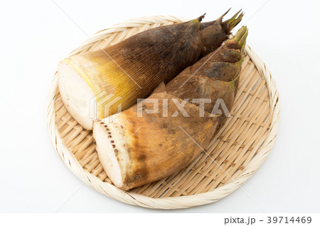 筍 筍 39714469