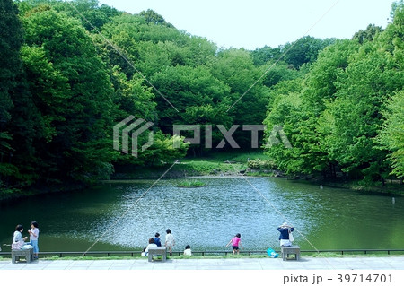 横浜市都筑区都筑中央公園 39714701