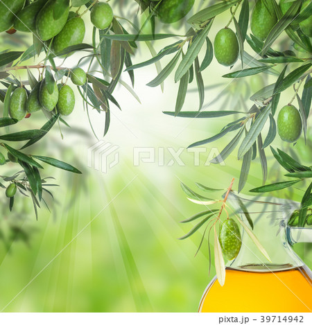 Raw kalamata olives on olive tree twig and oil Raw kalamata olives on olive tree twig and oil 39714942
