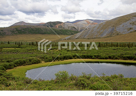 Landscape along Dempster Highway near Tombstone 39715216