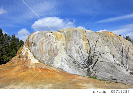 Orange Spring Mound, Mammoth Hot Springs Orange Spring Mound, Mammoth Hot Springs 39715282