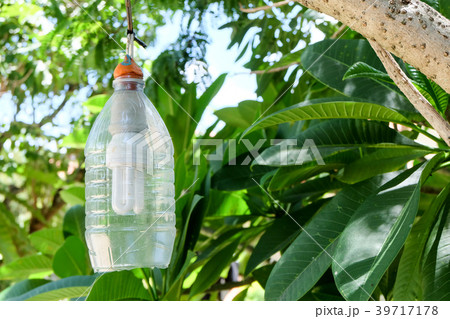Garden lamps are made of recycled plastic bottles 39717178