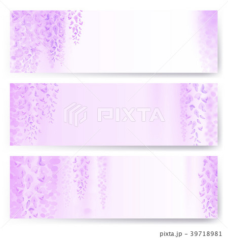 Spring background with blooming wisteria Spring background with blooming wisteria 39718981