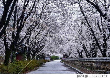 ウンムンサ 屋外 室外 39722181
