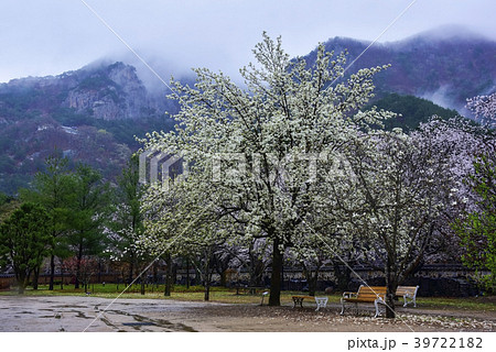ウンムンサ 屋外 室外 39722182