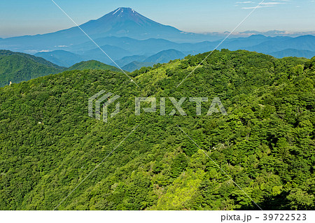 緑濃い夏の鍋割山と富士山 39722523