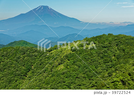 緑濃い夏の鍋割山と富士山 39722524