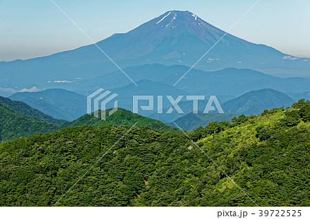 緑濃い夏の鍋割山と富士山 39722525