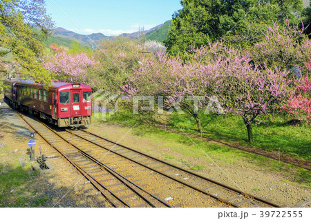 午後の日を浴びるわたらせ渓谷鉄道 39722555