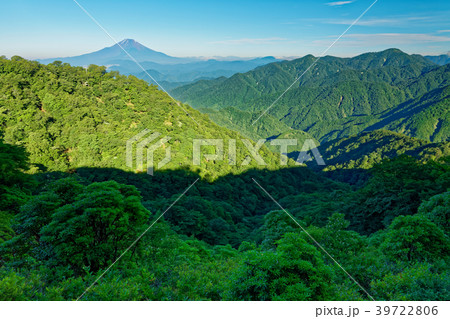 緑濃い夏の鍋割山稜・ユーシン渓谷と富士山 39722806
