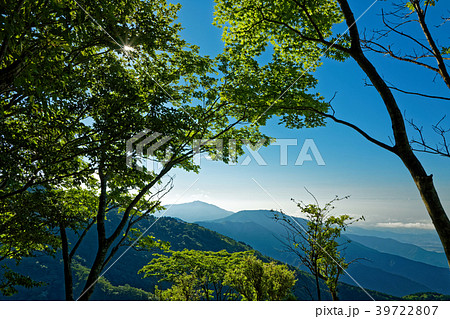 夏の丹沢・鍋割山稜から見る表尾根と大山 39722807