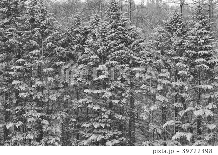 冬景色 冬景色 39722898