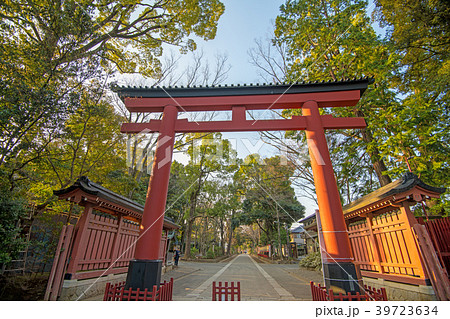 大宮 氷川神社 三の鳥居の写真素材