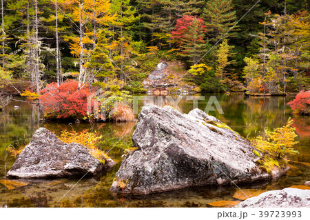 秋の明神池 秋の明神池 39723993