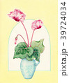 シクラメン 39724034