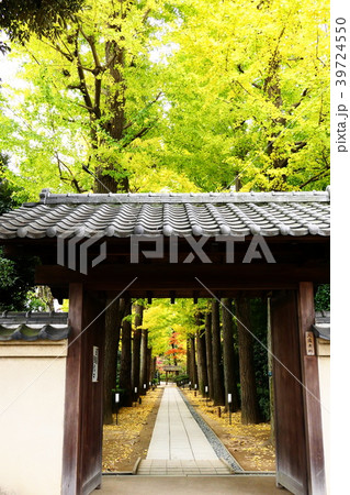 大田黒公園 39724550