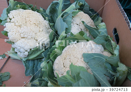 カリフラワー 39724713