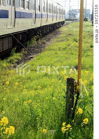 菜の花と線路G 39725550