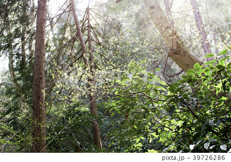 山に差し込む光 39726286