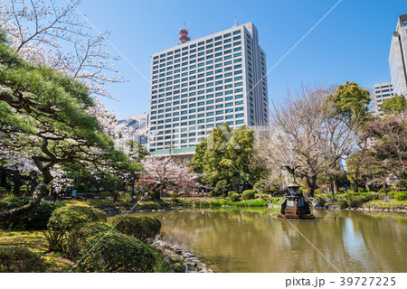 桜咲く日比谷公園の雲形池 桜咲く日比谷公園の雲形池 39727225