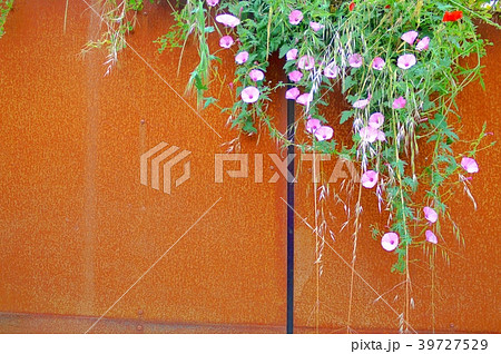 サントロペ　saint-tropez 39727529