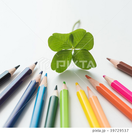 色鉛筆 39729537