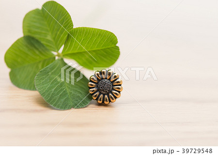 クローバー クローバー 39729548