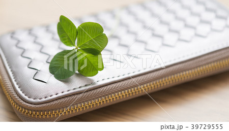 クローバー 39729555