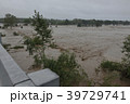 洪水 39729741